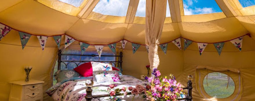 Ashleigh Farm Caravan and Glamping