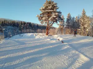 Cafe' Fjällkåtan Bruksvallarna
