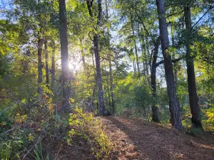 Clear Springs Campground