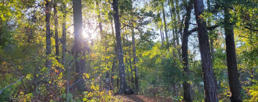 Clear Springs Campground