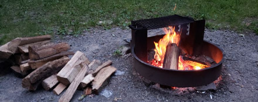 Ridge Campground At Cook Forest