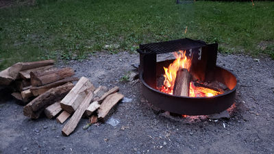 Ridge Campground At Cook Forest