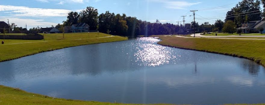 Pioneer Park