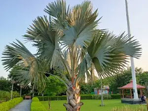 Ram Manohar Lohia Park