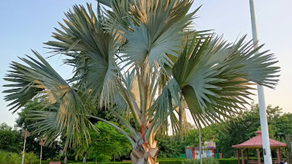 Ram Manohar Lohia Park
