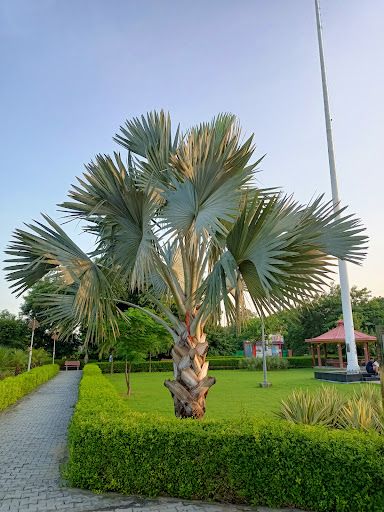 Ram Manohar Lohia Park