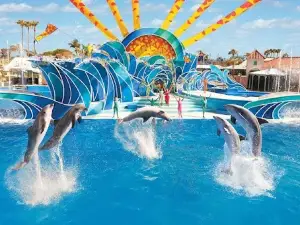 Dolphin Water Park