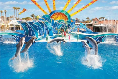 Dolphin Water Park