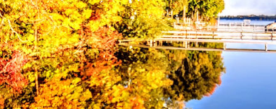 Ray Johnston Nature Preserve