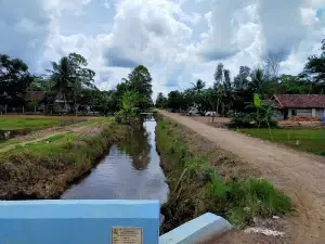 Food Estate