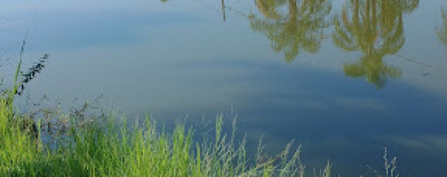 Lago municipal