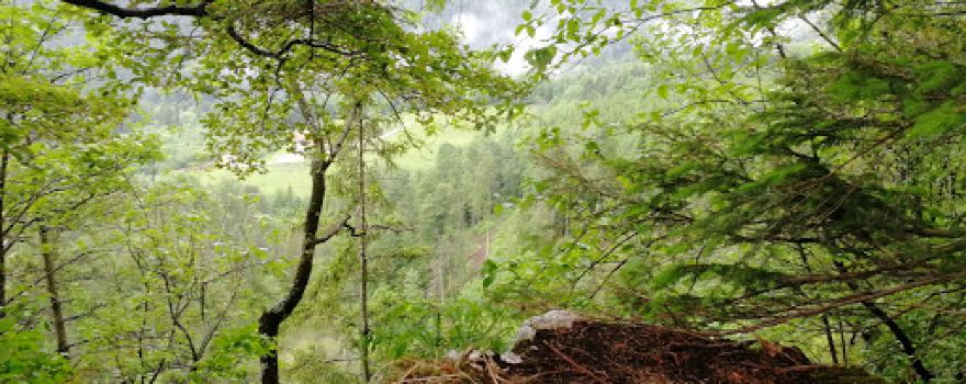 Sur Les Roches