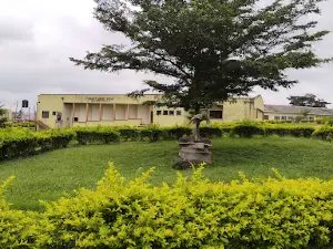 BukkyPaul writes