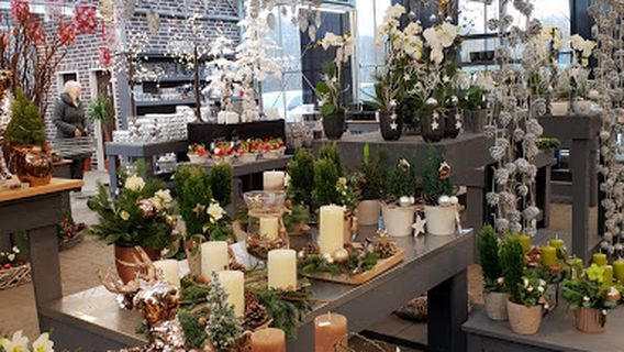 Grün erleben Fleur Gartencenter Ganderkesee