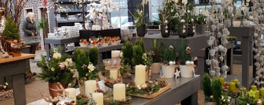 Grün erleben Fleur Gartencenter Ganderkesee