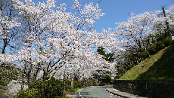 Mt. Otsu Park