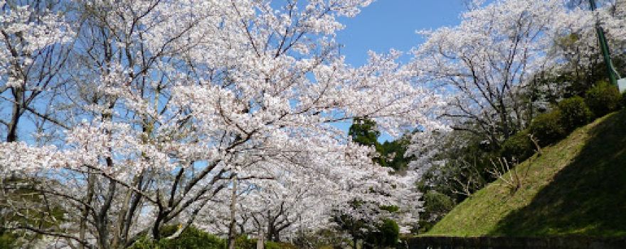 Mt. Otsu Park