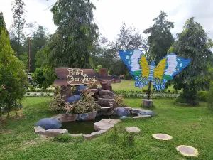 Bangkirai Hills Balikpapan
