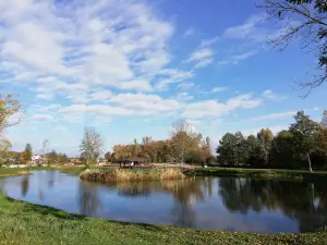 Palace park