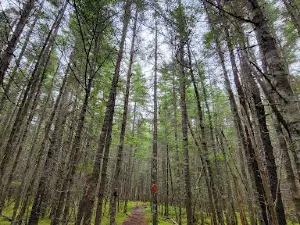 Five Fathom Hole Trailhead