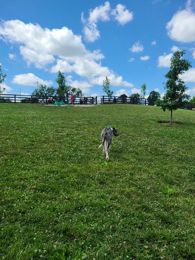 Legacy Dog Park
