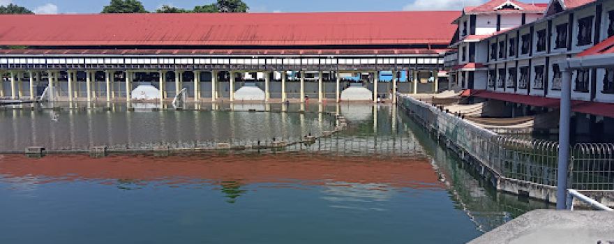 Guruvayur temple pond