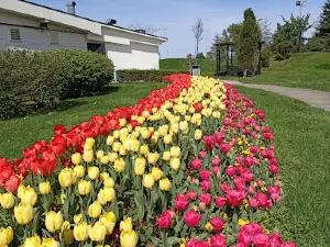 Eyof Park