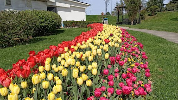 Eyof Park