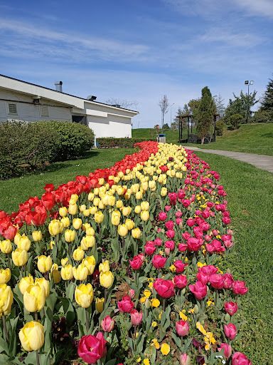 Eyof Park