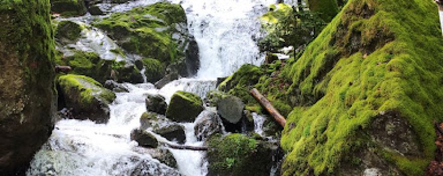 Saut de la Truite