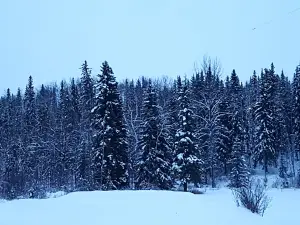Jamie Baxter Park