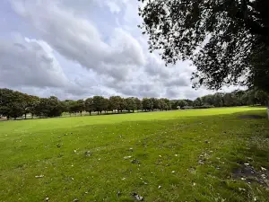 Morgan Jones Park