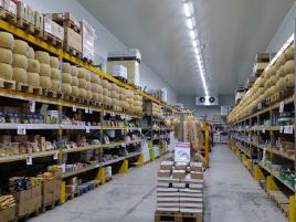 Immenso Cash (Gruppo Colonial Sud)