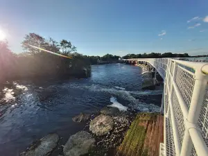 Meelick Weir Walkway