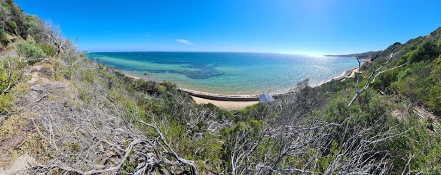 Hawker Beach Dog Friendly Off Leash Area