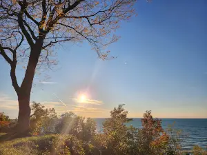 Lookout Park