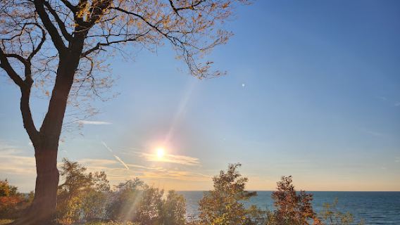 Lookout Park