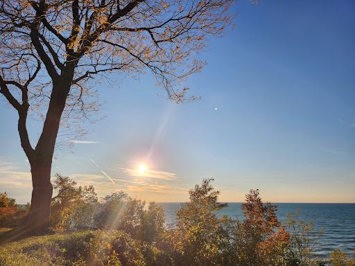 Lookout Park