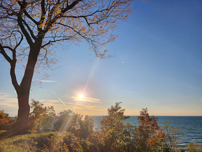 Lookout Park