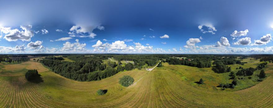Tamme-Lauri oak