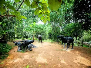 Khu du lịch sinh thái Bản Rõm