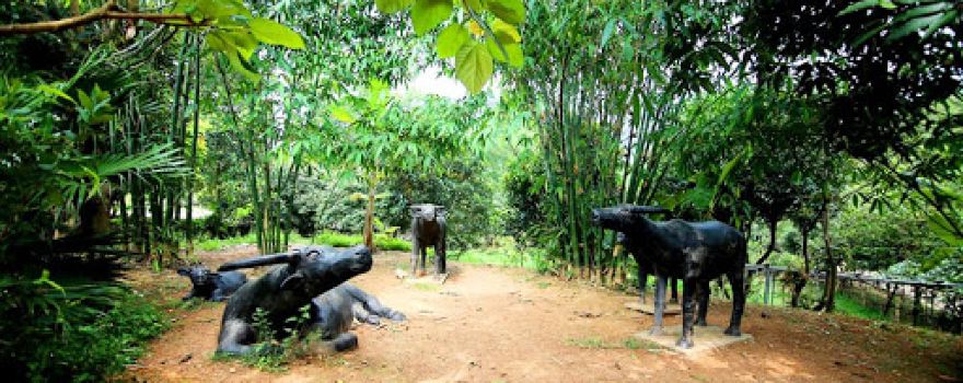 Khu du lịch sinh thái Bản Rõm