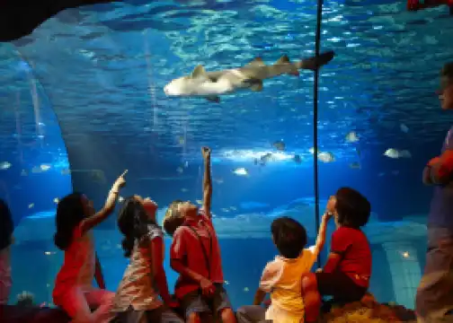 SEA LIFE Centre Porto