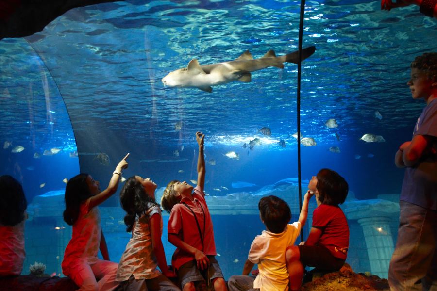 波爾圖海洋生物館