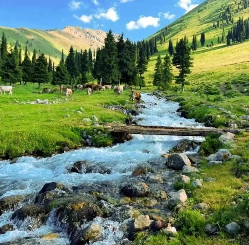 2_Nalati Scenic Area