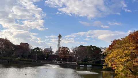 天王寺公園 attraction in 大阪