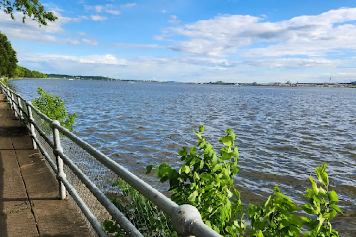 Cherry Blossom D.C.: East Potomac Park