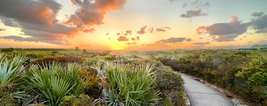 Juno Dunes Natural Area