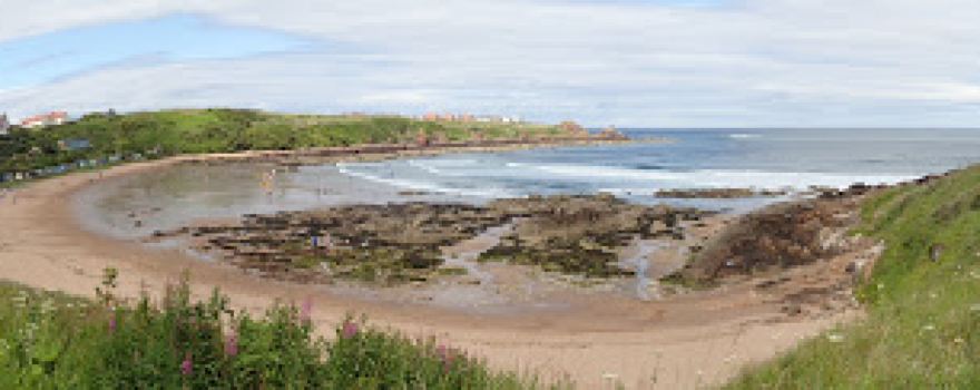 Berwickshire Marine Reserve