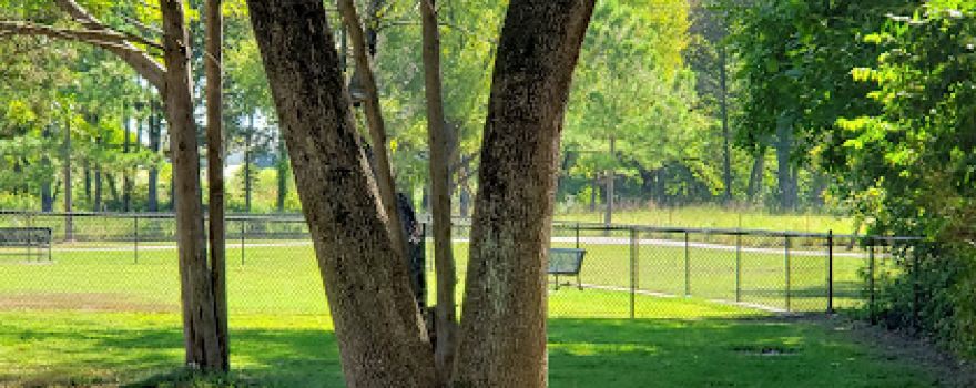 C.L. "Charlie" and Willie George Park